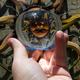 Image for article titled Refraction Shooting Challenge Gallery 1
